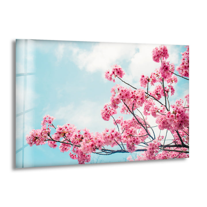 Japanese Cherry Blossom Glass Wall Art