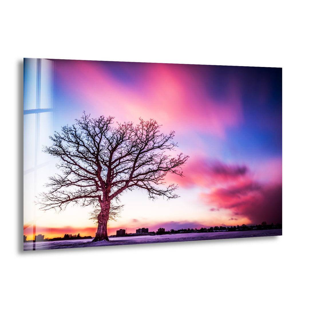 Huge Tree On Pink Sunset Glass Wall Art custom glass pictures, glass art prints