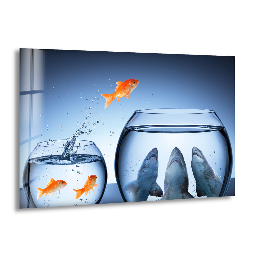 Goldfish Shark Glass Wall Art glass pictures for Wall, glass prints wall art