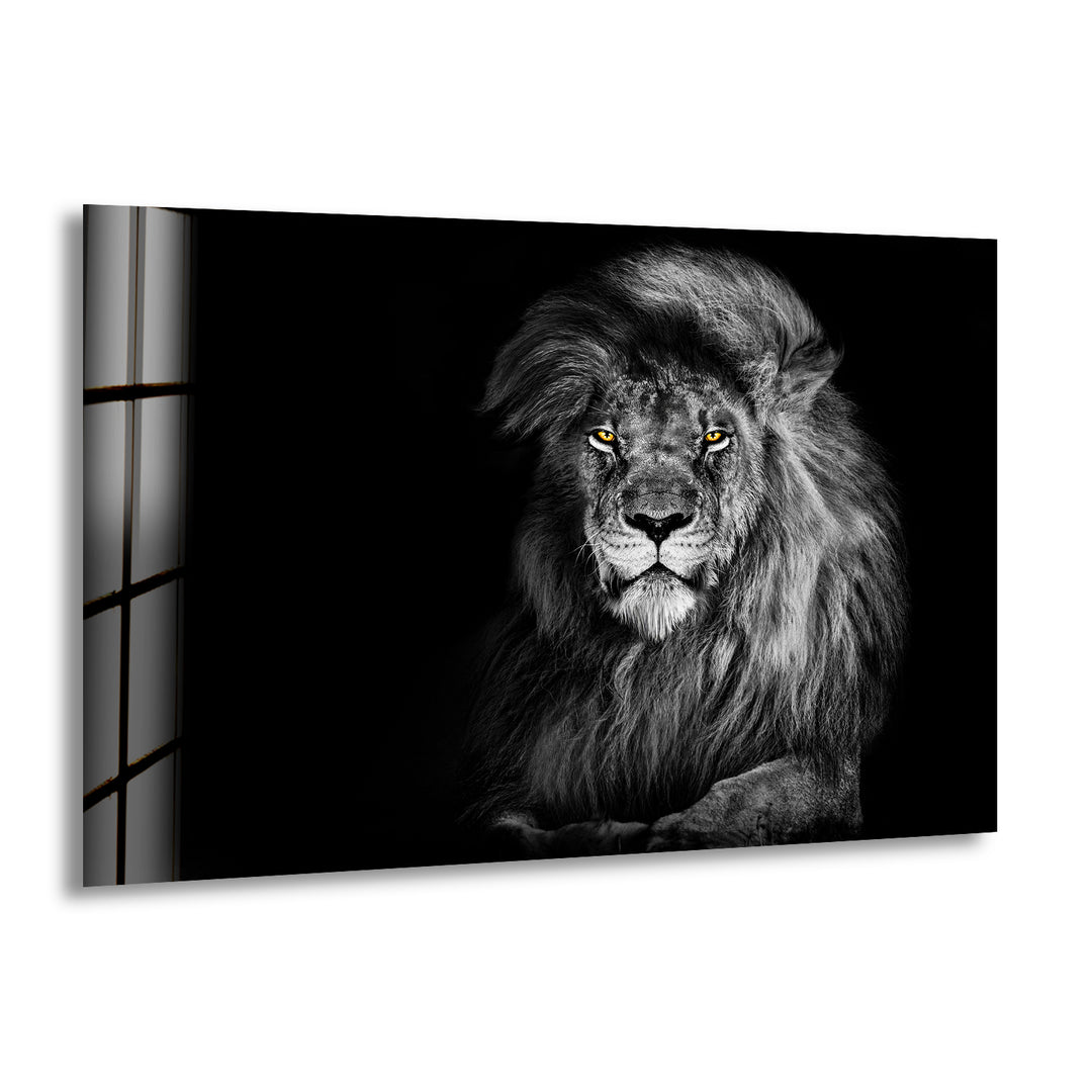 Black Wild Lion Glass Wall Art print on glass, glass printed photos