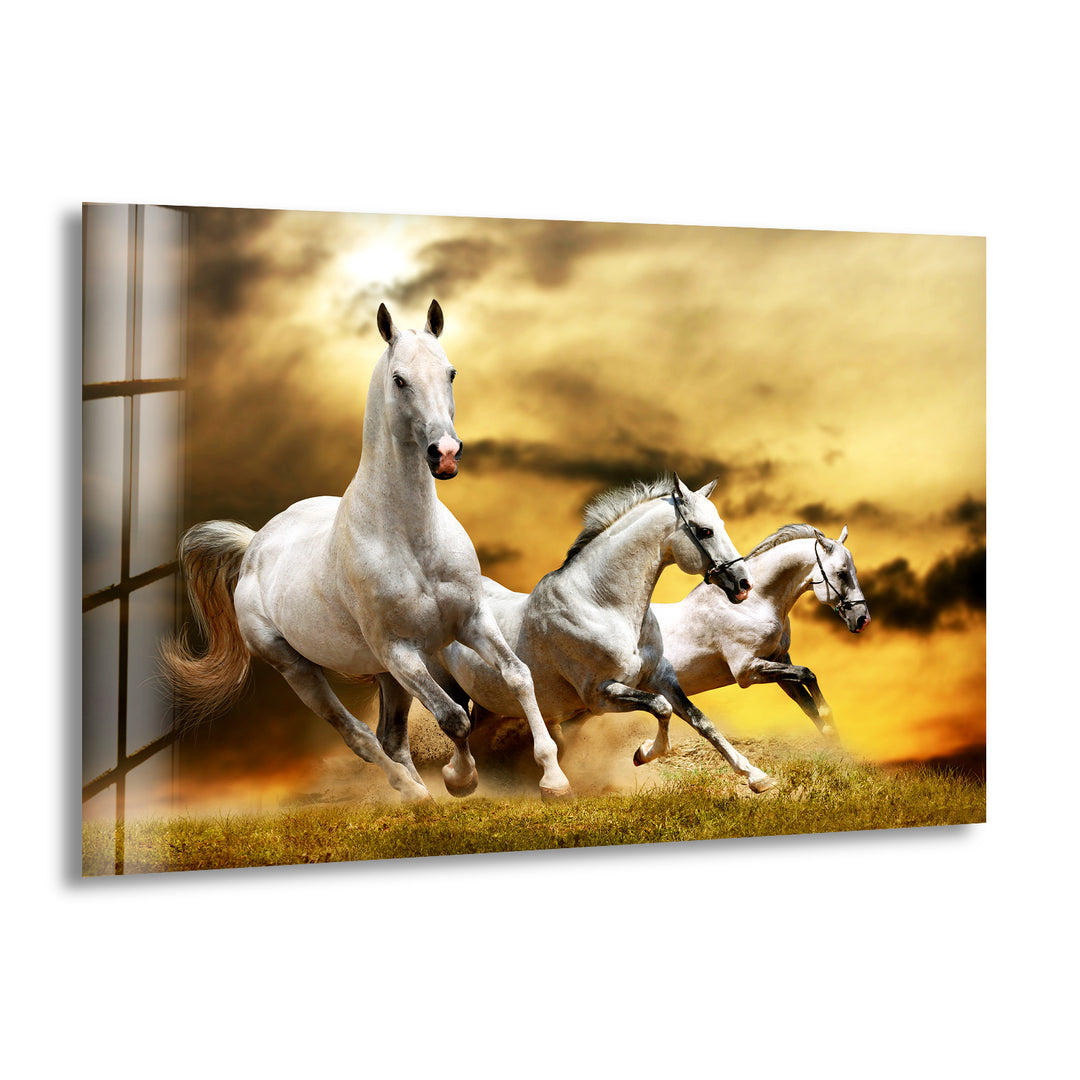 Galloping Horse Glass Wall Art custom glass photo prints, large glass prints