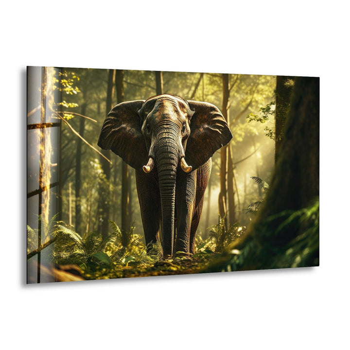 Elephant in The Forest Glass Wall Artprint picture on glass,Tempered Glass Wall Art