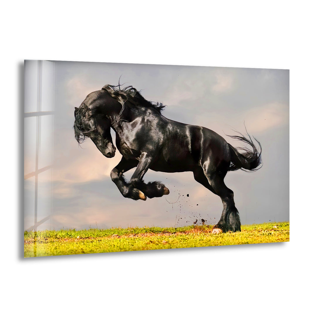 Friesian Horse Glass Wall Art Glass Printing Wall Art, Print photos on glass