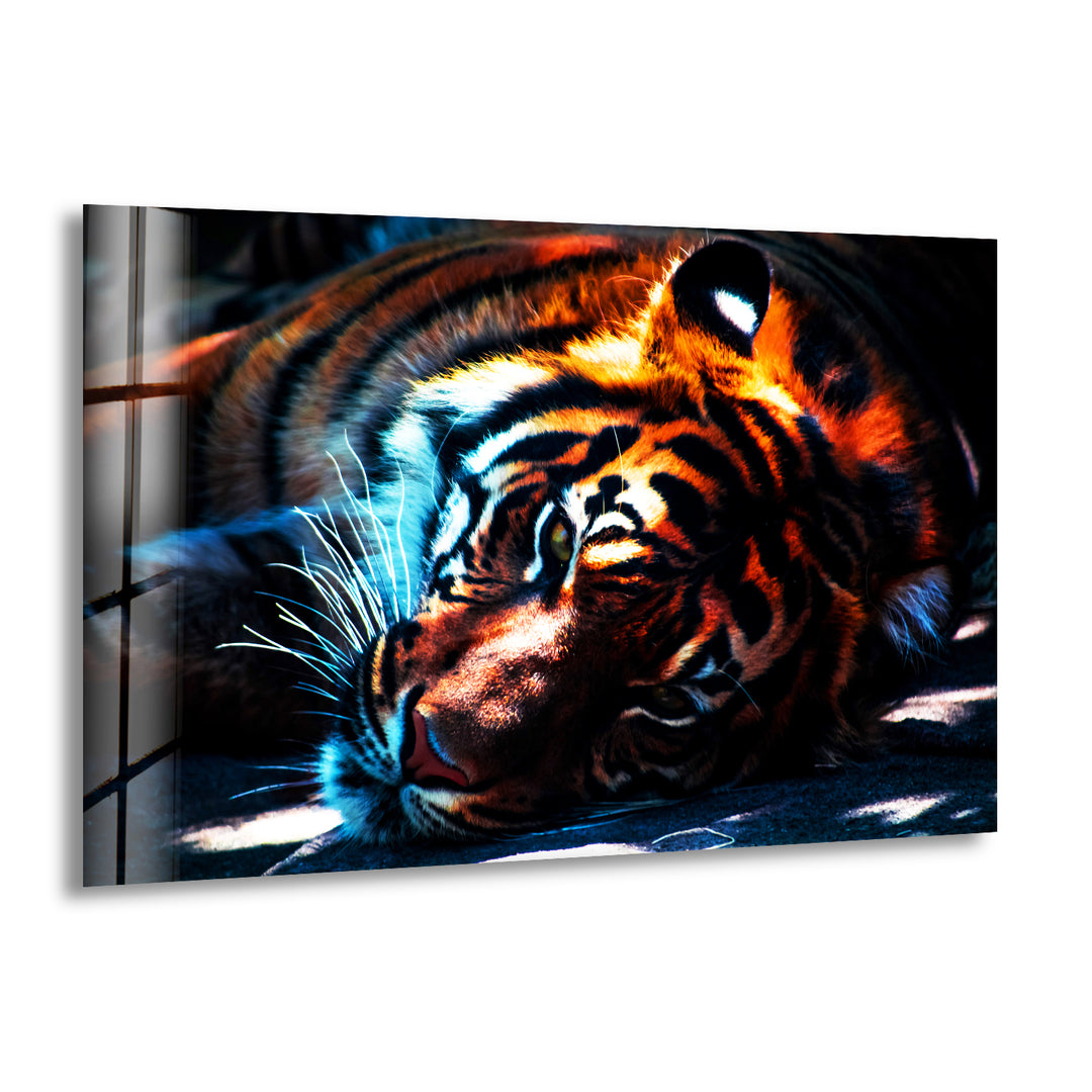 Dark Tiger Glass Wall Art glass photo prints, glass picture prints