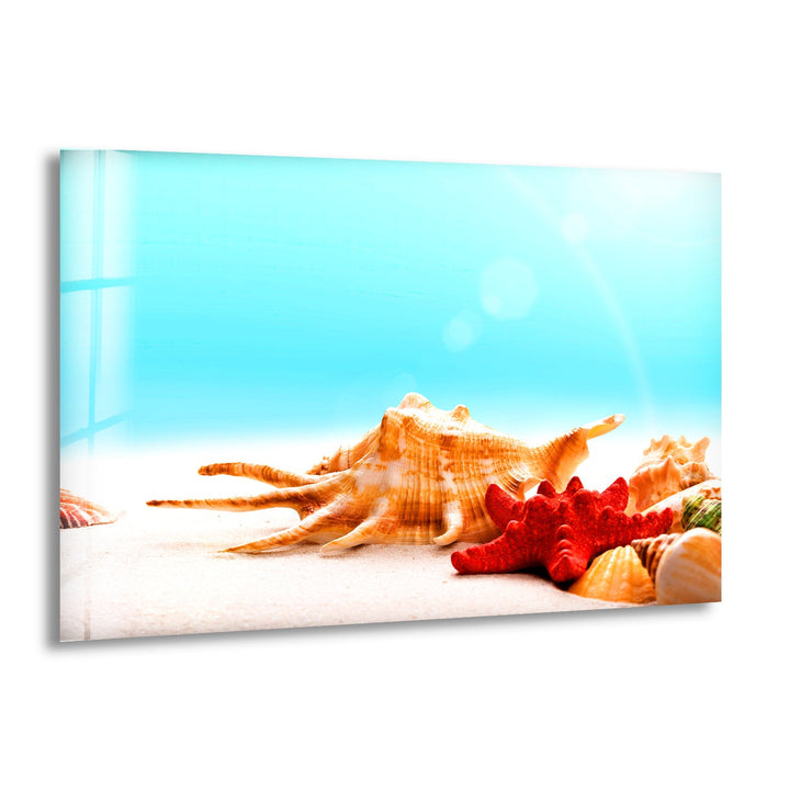 Seashells & Starfish Glass Wall Art Glass Printing Wall Art, Print photos on glass