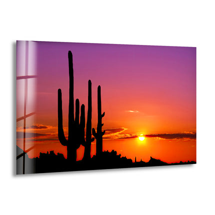 Sonoran Desert Phoenix Arizona Glass Wall Art