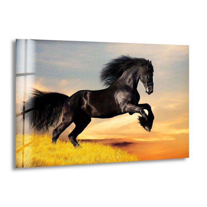 Big Black Horse Glass Wall Art glass photo prints, glass picture prints