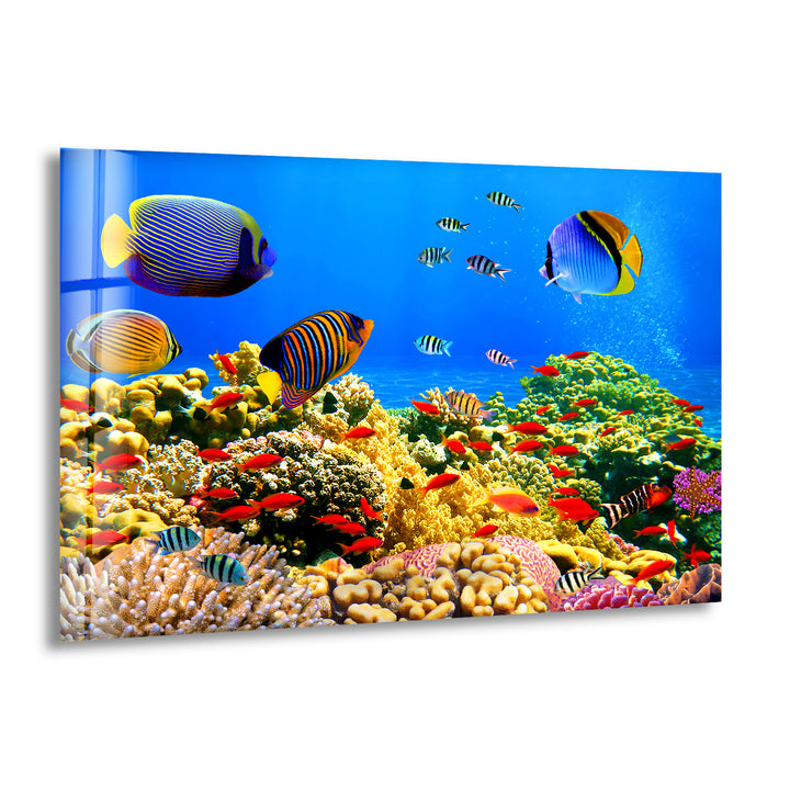 Tropical Fishes at Aquarium Glass Wall Art