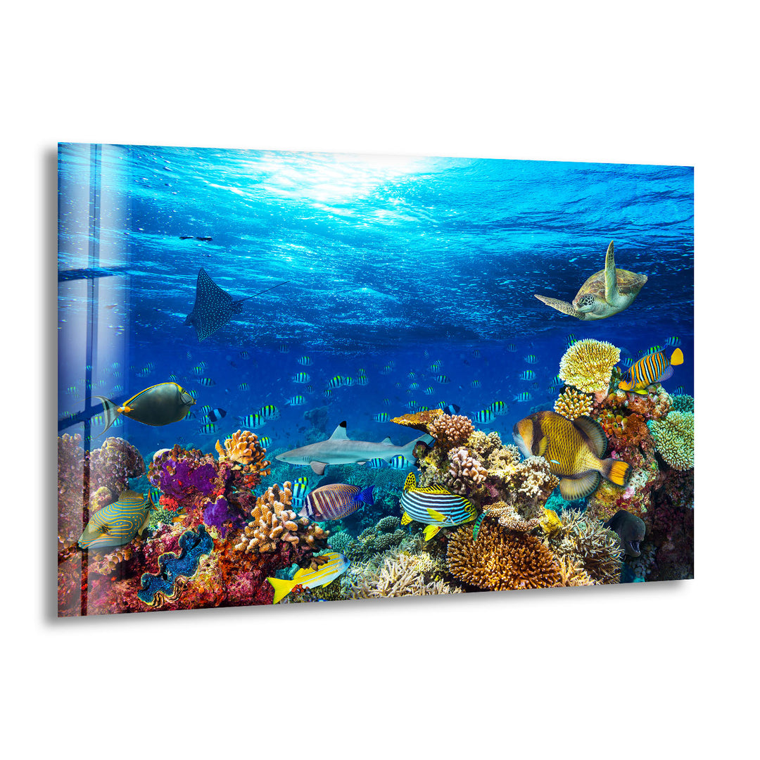 Tropic Under Ocean Glass Wall Art glass photo prints, glass picture prints