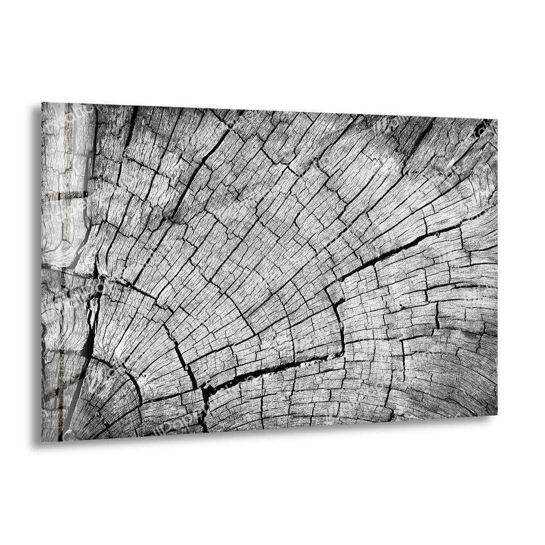 Body Tree Wood Pattern Glass Wall Art, print picture on glass, Tempered Glass Wall Art