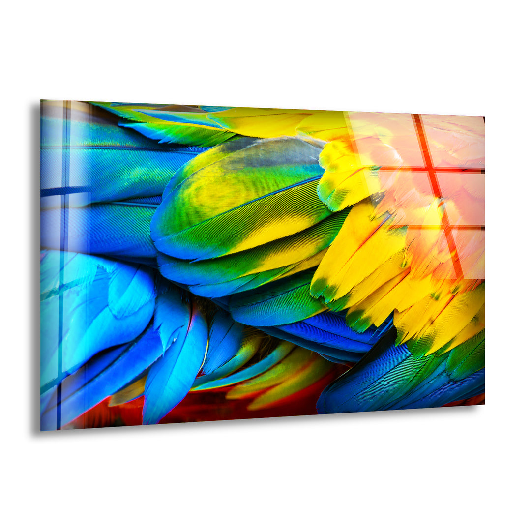 Colorful Feathers Glass Art Prints