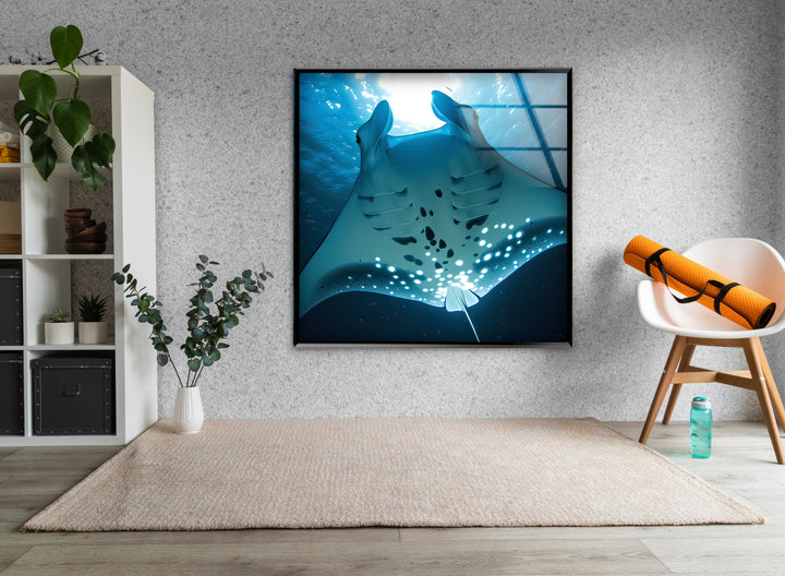 Manta Ray Glass Wall Art Glass Printing Wall Art, Print photos on glass
