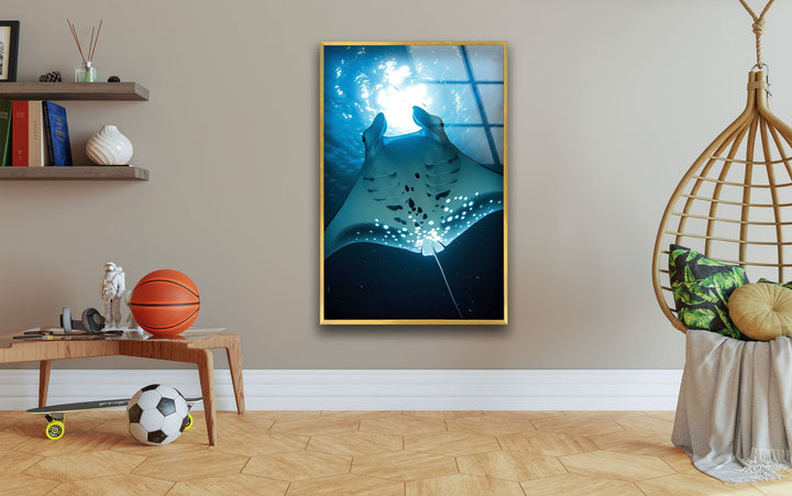 Manta Ray Glass Wall Art photo print on glass, prints on glass wall art
