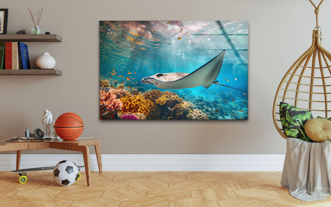 Manta Ray Fish Glass Wall Art large glass photo prints, glass wall photos
