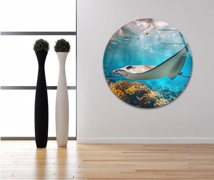 Manta Ray Fish Glass Wall Art picture on glass wall art, photos printed on glass
