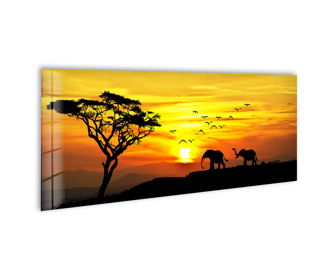 Savanna Sunset & Elephant Glass Wall Art, print picture on glass, Tempered Glass Wall Art