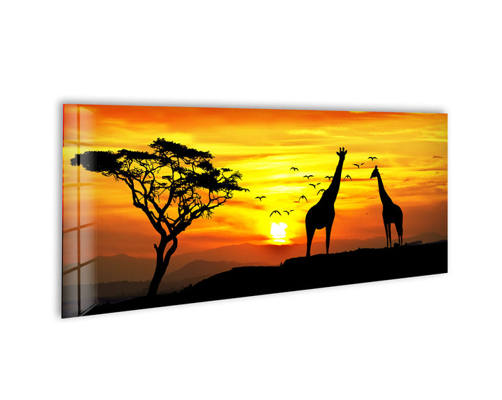 African Sunset Postcard Glass Wall Art, large glass photo prints, glass wall photos