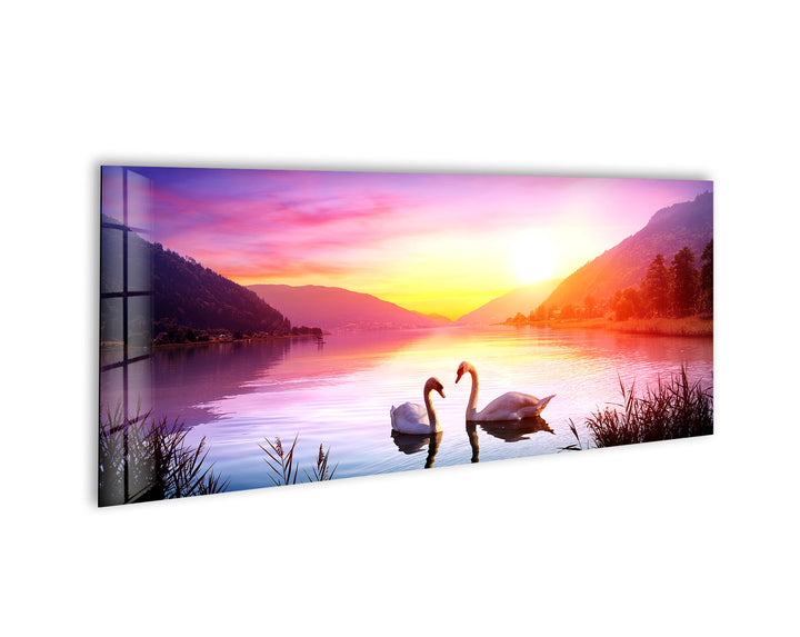 Swans Over Lake At Sunset Landscape Glass Wall Art, glass photo prints, glass picture prints