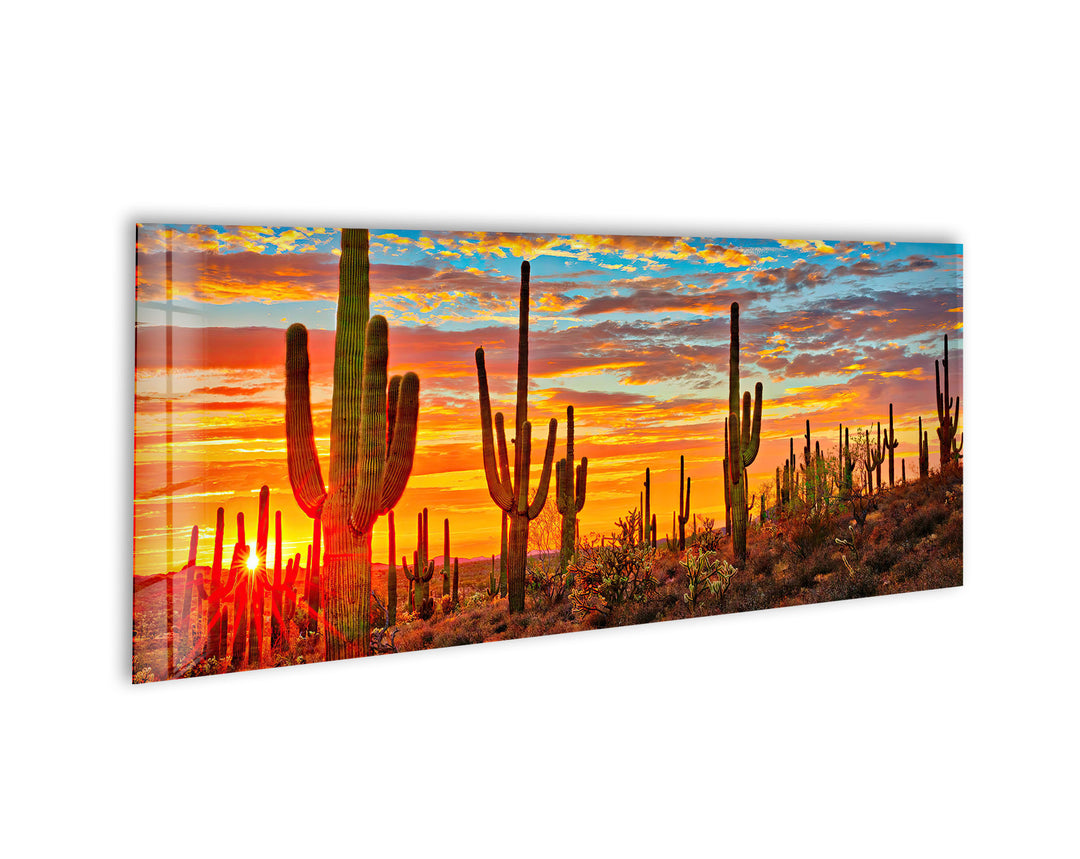 Sunset at Sonoran Desert, Cactus Glass Wall Art, large glass photo prints, glass wall photos