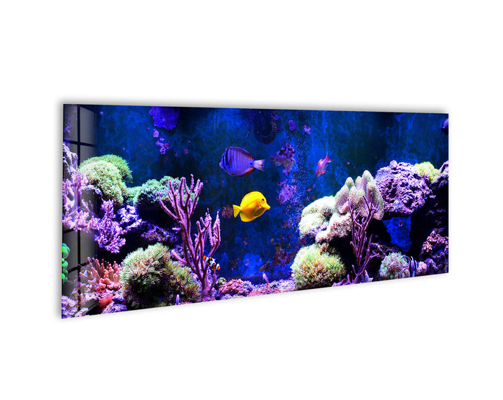 Marine, Blue Aquarium Glass Wall Art, large glass photo prints, glass wall photos