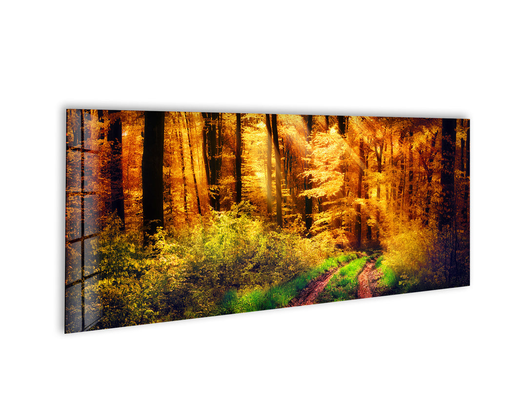 Sunny Autumn Landscape Glass Wall Art, glass art painting, glass art for the Wall