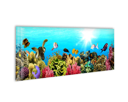 Marine Fishes Glass Wall Art, picture on glass wall art, photos printed on glass