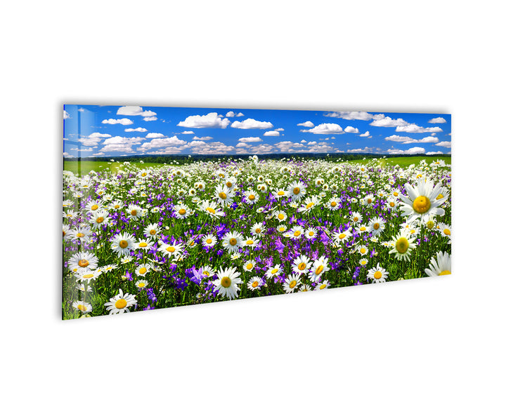 Spring Landscape, Blooming Daisy Glass Wall Art, glass image printing, glass prints from photos