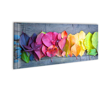 Colorful Leaves Glass Wall Art, custom glass pictures, glass art prints