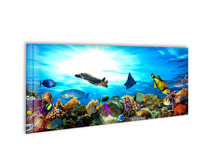 Ocean Life Glass Wall Art, picture on glass wall art, photos printed on glass