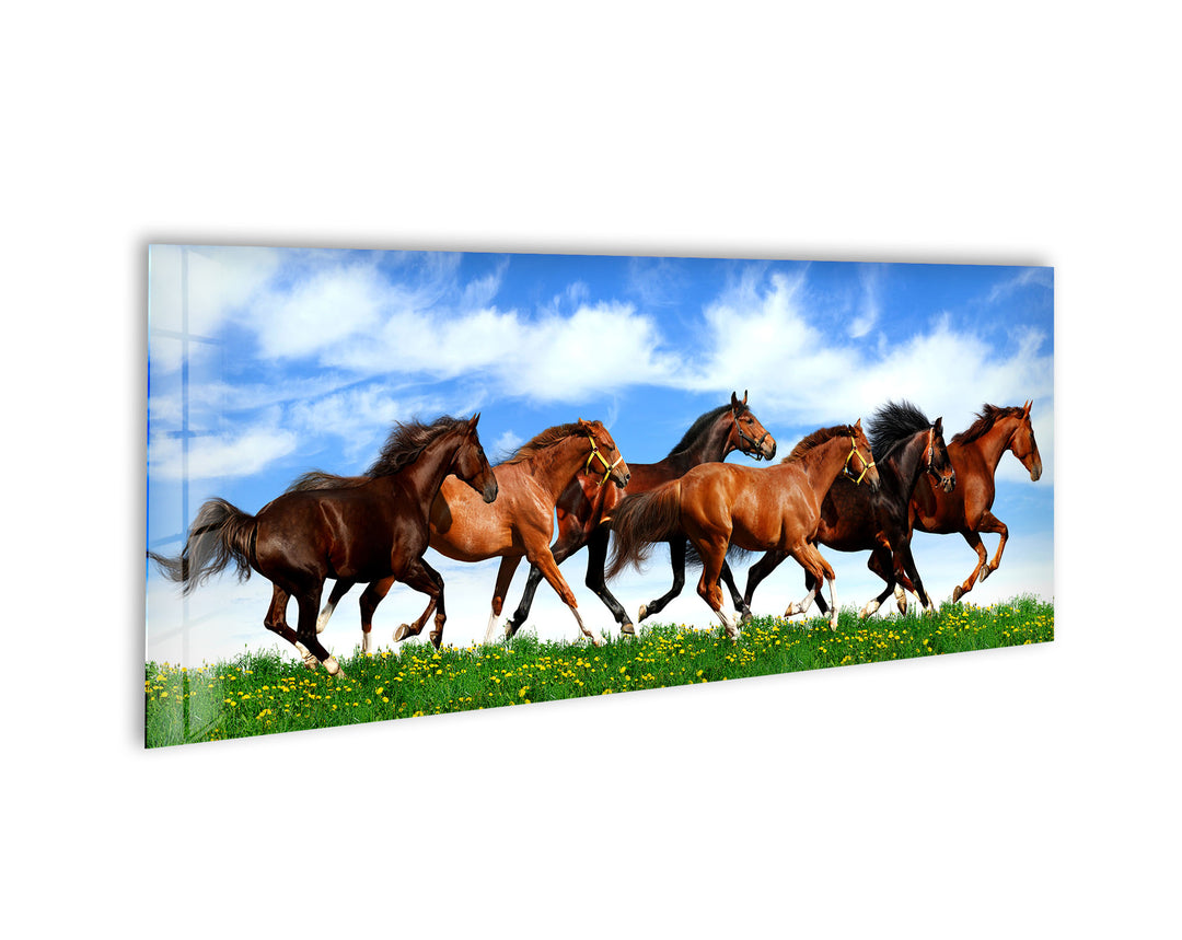 Galloping Horses Glass Wall Art, glass wall decor, glass wall art decor