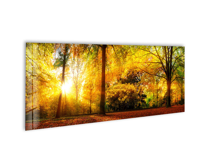 Autumn Nature Landscape Glass Wall Art, custom glass pictures, glass art prints