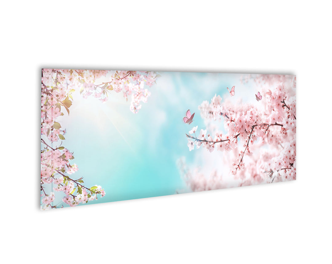 Spring Cherry Blossom Glass Wall Art, photo print on glass, prints on glass wall art