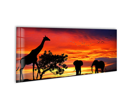 Safari Life, Sunset Glass Wall Art, print picture on glass, Tempered Glass Wall Art