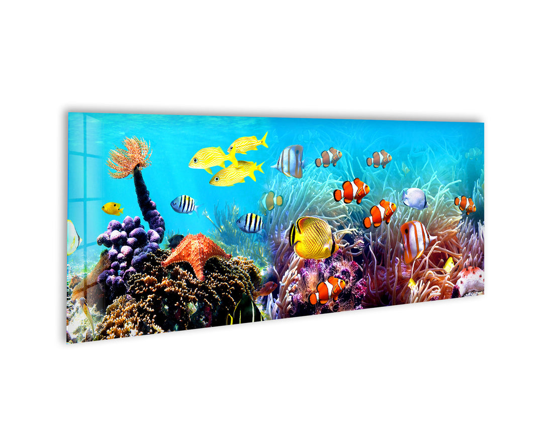 Undersea Tropical Fishes Glass Wall Art, Glass Printing Wall Art, Print photos on glass