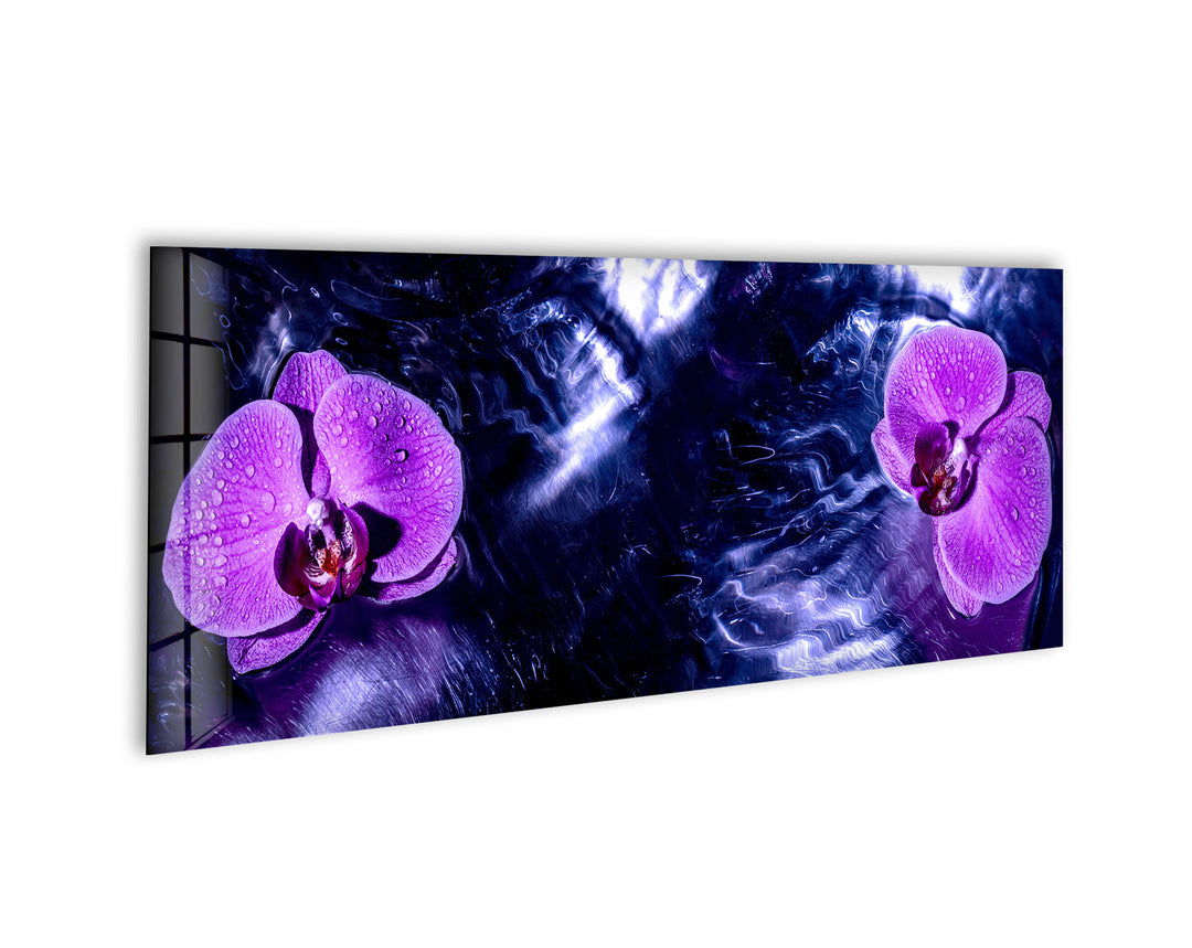 Purple Blooming Orchid Glass Wall Art, large glass photo prints, glass wall photos