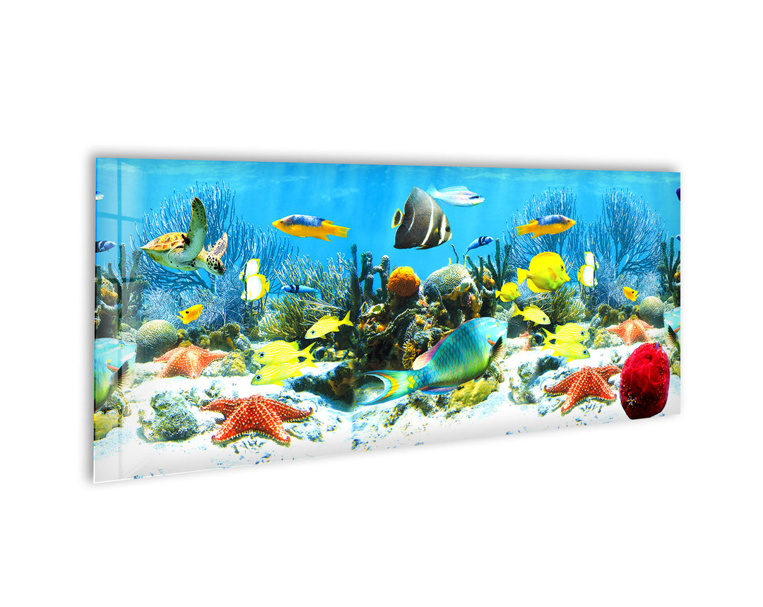 Colorful Tropical Fishes Glass Wall Art, glass pictures for Wall, glass prints wall art