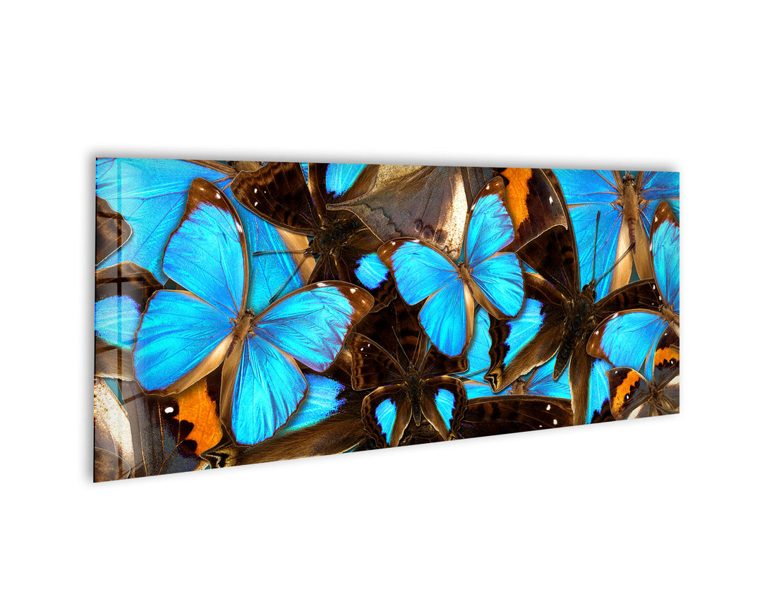 Blue Butterflies Glass Wall Art, glass wall decor, glass wall art decor