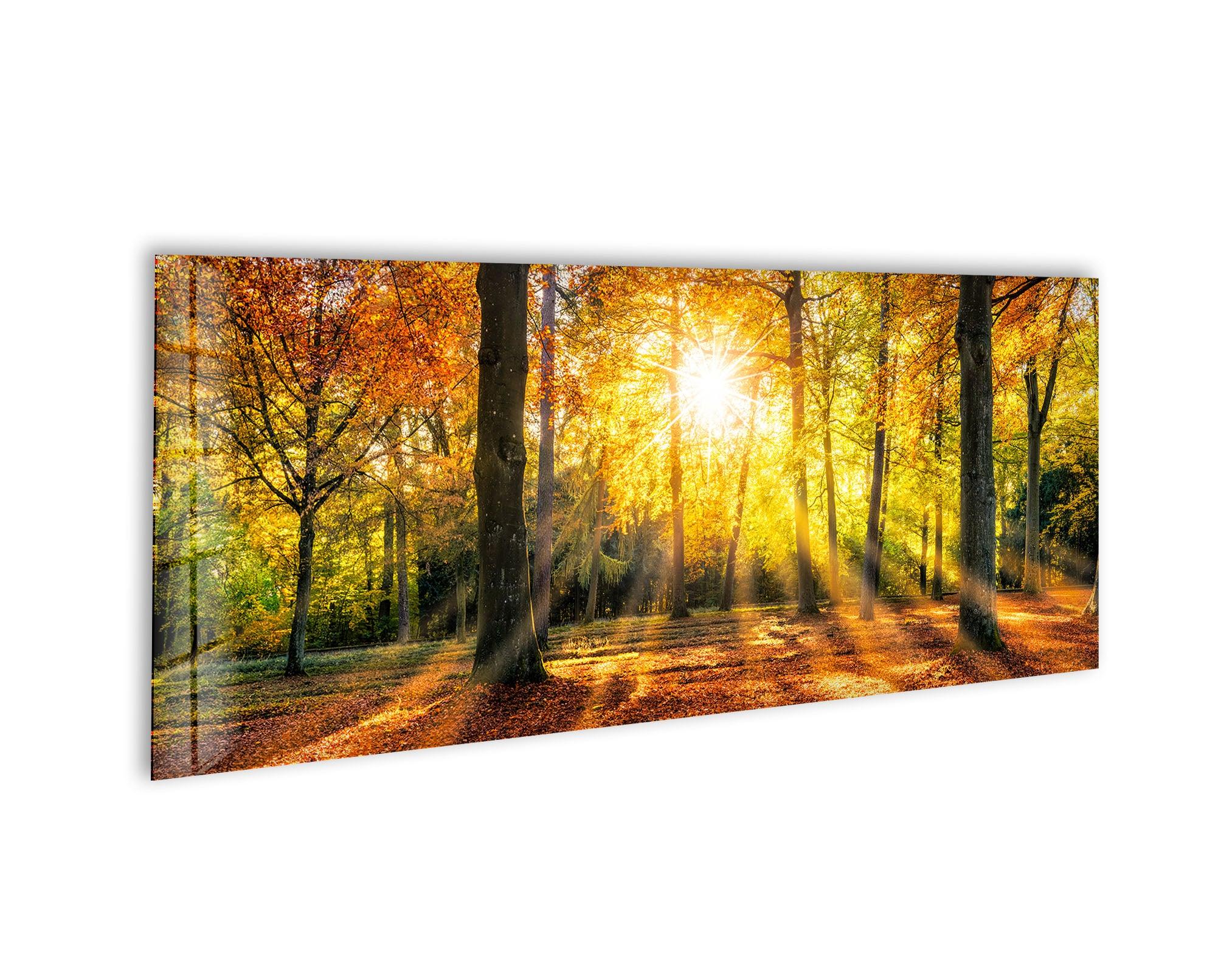 Autumn Forest Landscape Glass Wall Art, print on glass, glass printed photos