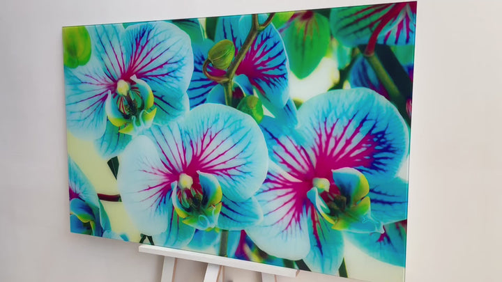 Blue & Pink Orchids Flowers Glass Wall Art, art glass wall art, glass wall art pictures