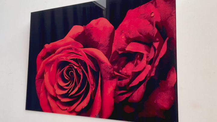 Red Rose Close-Up Glass Wall Art, glass art painting, glass art for the Wall