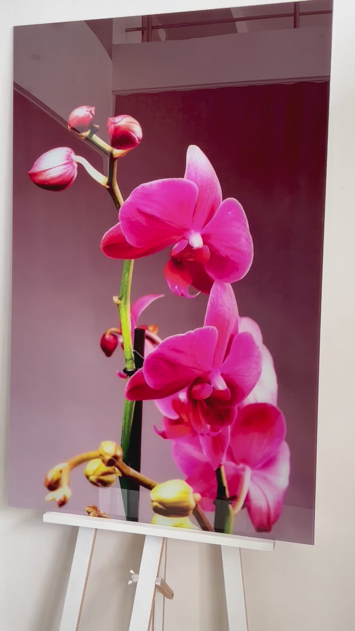 Pink Orchid Glass Wall Art, large glass photo prints, glass wall photos