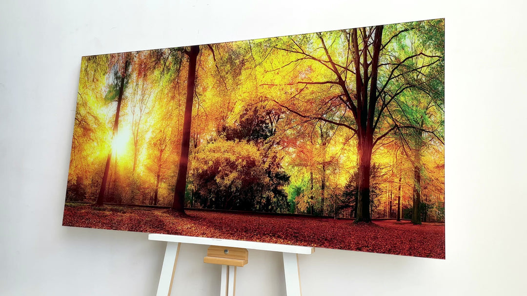 Autumn Nature Landscape Glass Wall Art, large glass photo prints, glass wall photos