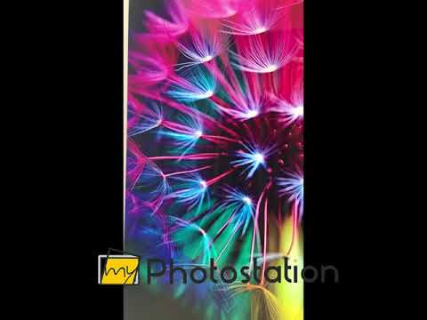 Rainbow Dandelion Glass Wall Art