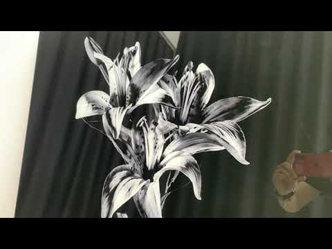 Black Xray Lily Flower Glass Wall Art, custom glass photo prints, large glass prints
