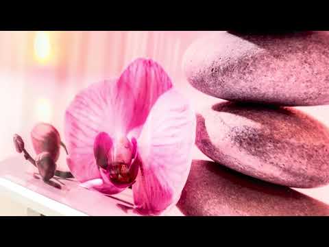 Zen Spa Stones and Pink Flower Glass Wall Art