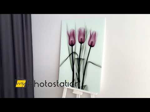 Albert Koetsier Triplet Tulips Glass Wall Art