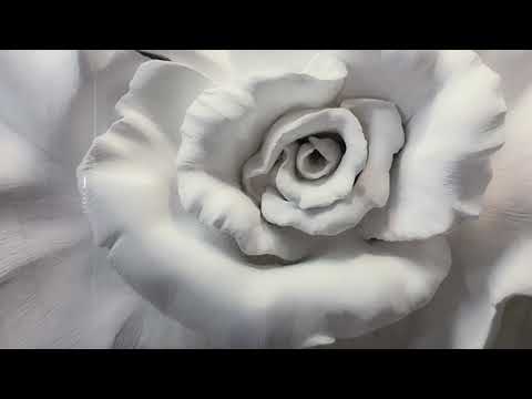 Close Up White Rose Glass Wall Art, art glass wall art, glass wall art pictures