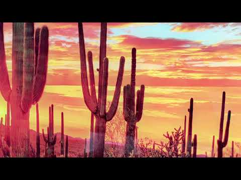 Desert Sunset With Saguaros Glass Wall Art