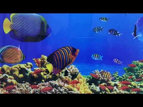 Tropical Fishes at Aquarium Glass Wall Art