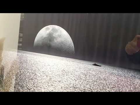 Black & White Moon Ocean Glass Wall Art